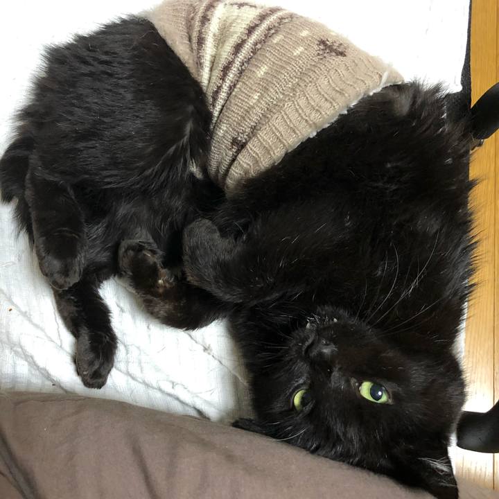 D075bb56 34a3 42e4 80cf 61310fdbef9c 1634640490969