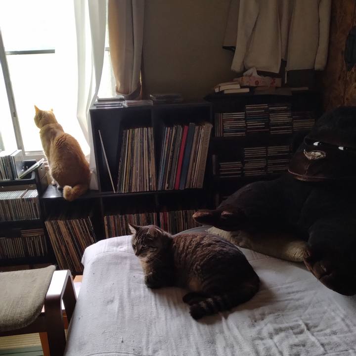 D075c7a4 412f 42d4 bfba eebf614b8659 1687838146752