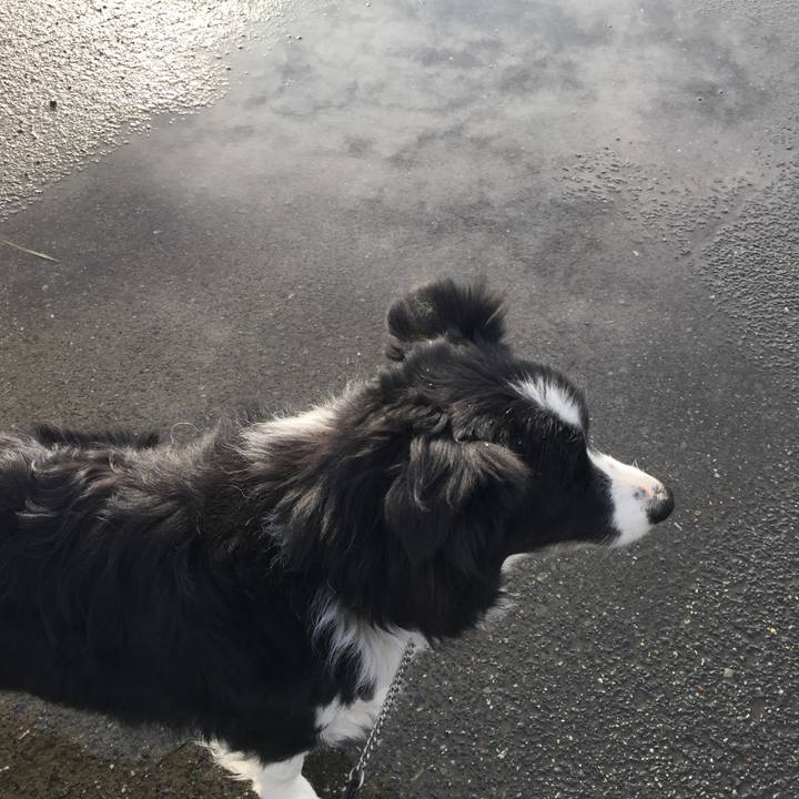 D075d35a 77dd 4555 a893 07220b83b048 1580343963978