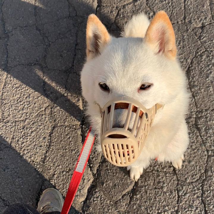 D075e4bc 497a 4c70 a3ac 17de079e21f0 1560203049486