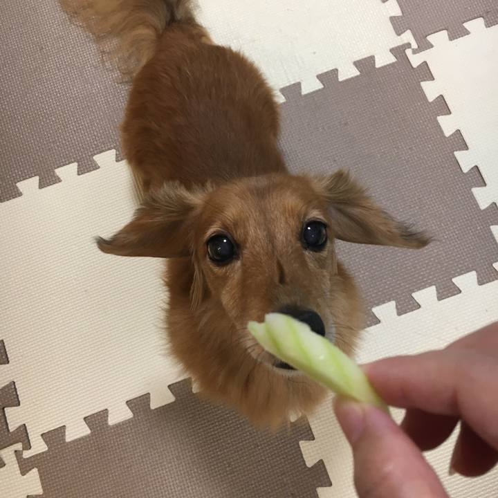 D07604f6 3814 47df a0d2 4b55aee05793 1598268816151