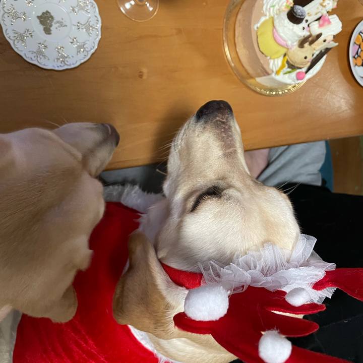 D0760a88 6d25 4c26 8438 7b35dadd5a1a 1640351535170