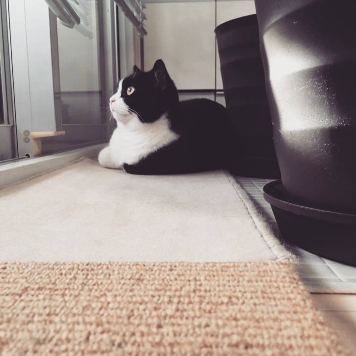 D0769204 b4c3 4bfc bc93 56e7bf5cebb8 1543740522768