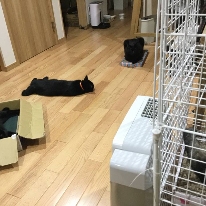 D0769b5f 736a 48ff bc65 723098db9221 1530458840592