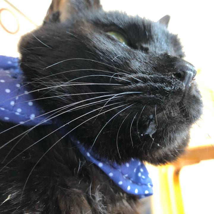 D0769fdd 9c1a 4db1 a823 7f28929da610 1553668866627