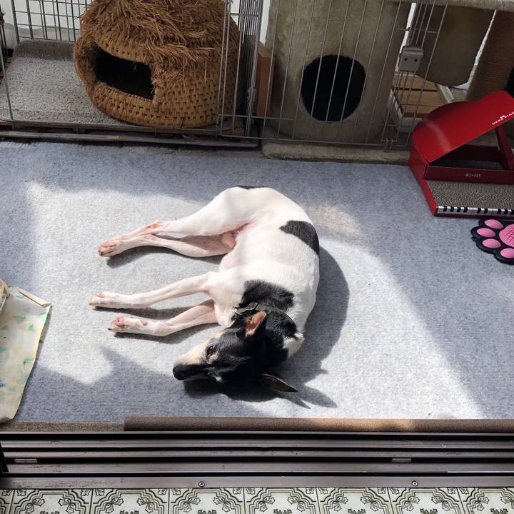 D076a739 fbf7 40e1 b365 3993645b6ea4 1556846945102