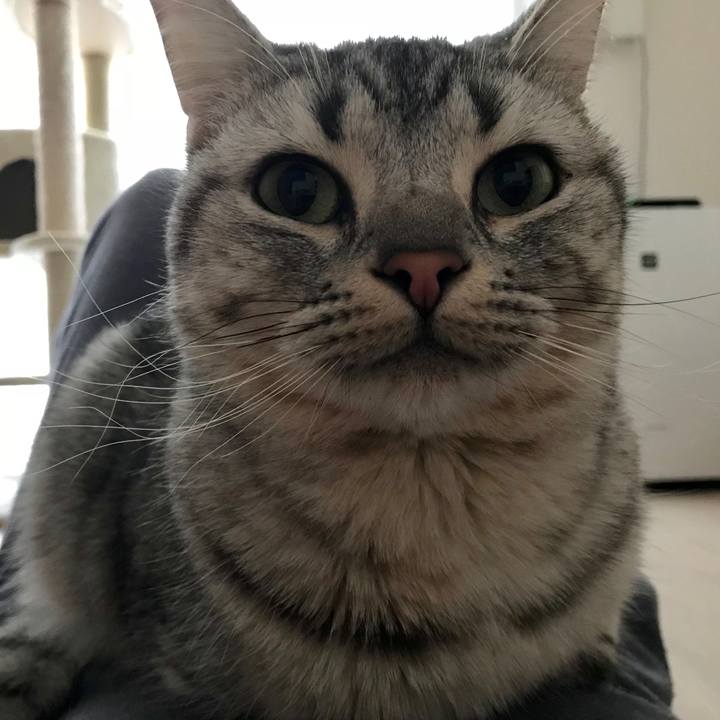 D076b6ef c477 4466 bbbe c2cbd02bbd70 1512871463939