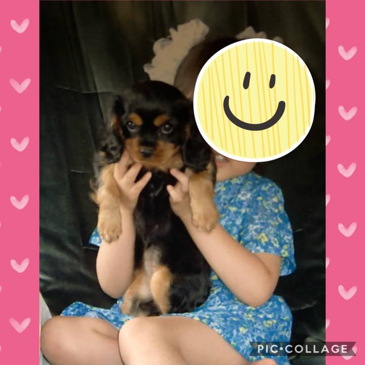 D076c08c 4ebd 40f5 ab06 6e4a3fa75e7f 1601470611604