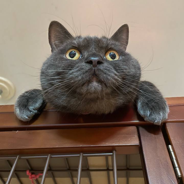 D076c97f 7f00 41ee 9fbf 4be5ae3bf0ff 1769467307917