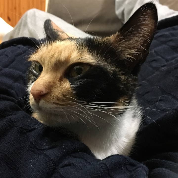 D076d293 a74f 4010 8537 40ae772e6aab 1512479964894