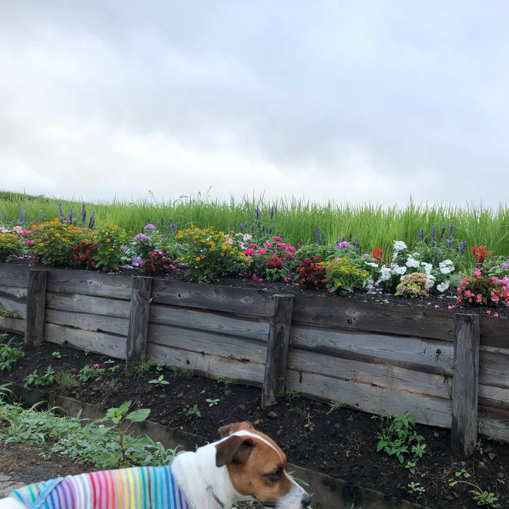 D076e6ce ccc9 44eb 913c addab0f2f3d2 1566344532572