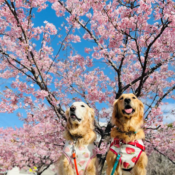 D077190d dff1 4c45 9c62 b7bd60fbad71 1773020921543