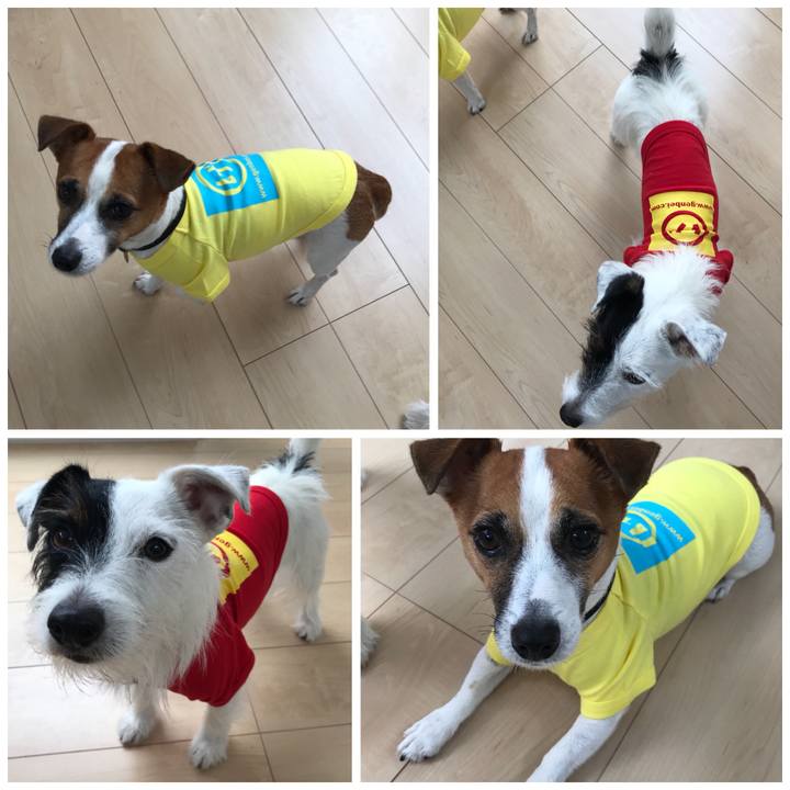 D0772cdb e8a9 4323 bcc0 eec977acf1f0 1508045417631