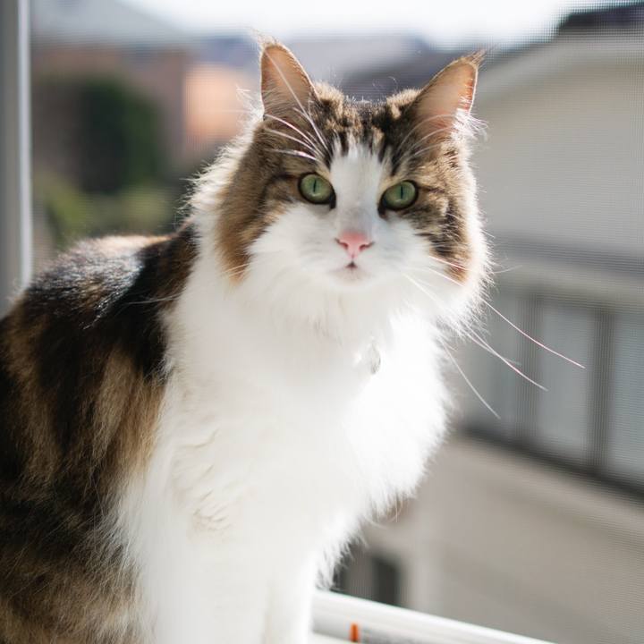 D0778570 69ce 49d9 9f03 8b7d4062a109 1580963865683