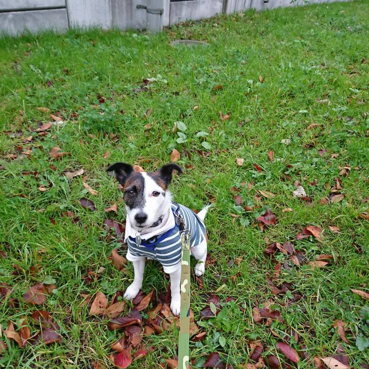 D077bd3c 4c01 4f79 afae eee44eca8594 1510610123073