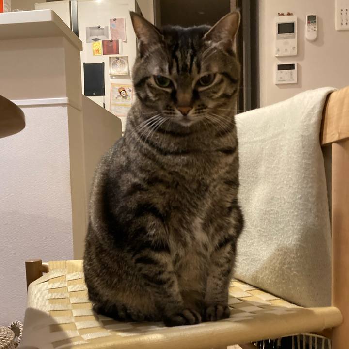 D0785f8e 96f4 4410 9f3e fea0446c6156 1668514843300