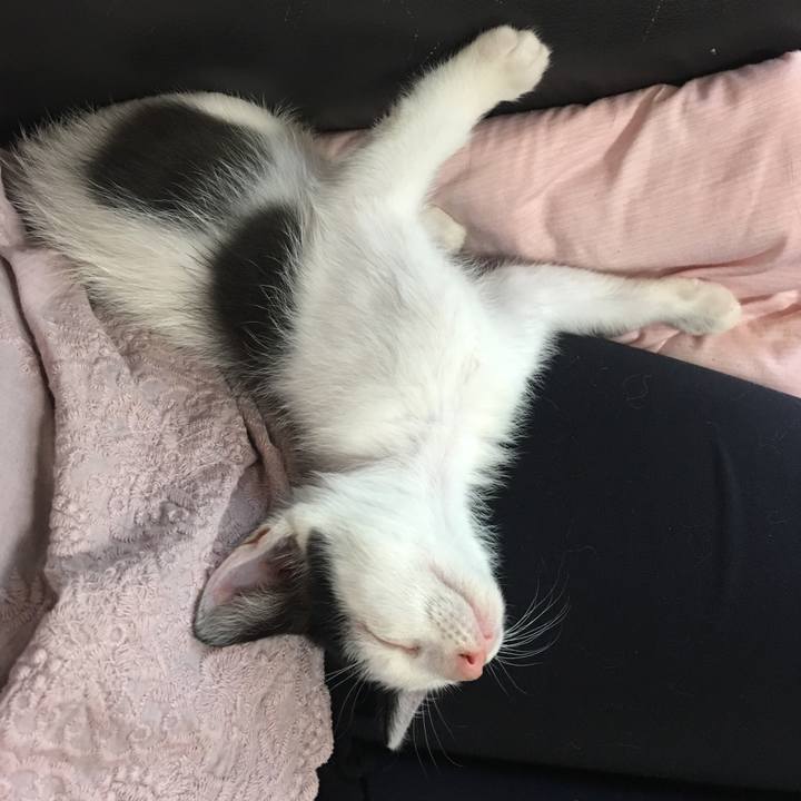 D0788026 59be 4855 980b 6a7818a10ccb 1530440489206