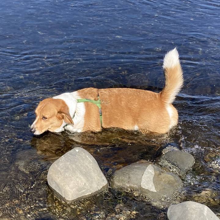 D078a096 231a 4af0 9400 5e4f6d8a5746 1707274307445