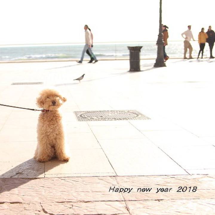 D078c460 9b0c 404f 89d8 650cd87617d5 1514824923218