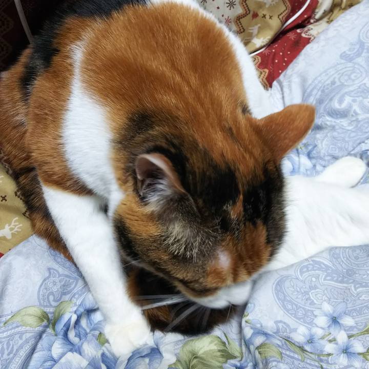 D078f827 a317 4765 8d9e c940ee2091a8 1549611788174