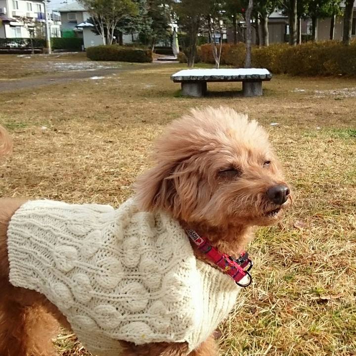 D07937d2 4351 4f39 bae1 d4e17d799320 1513130245289