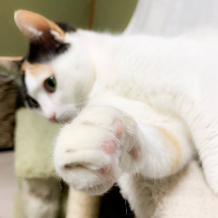 D07976b5 69fc 4d59 8a57 ce2042e68105 1585447113374