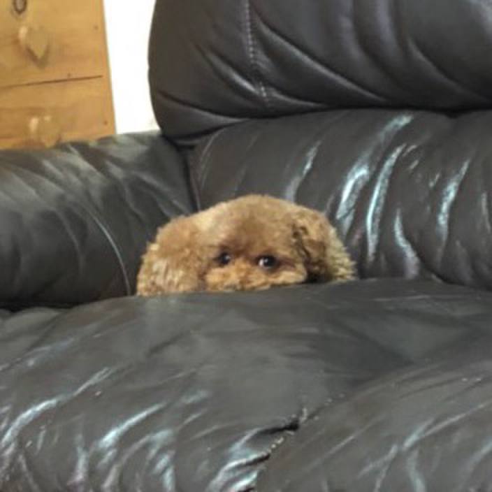 D079941e 7895 4e3c 93ef 95eb94f4f2a7 1556407557658