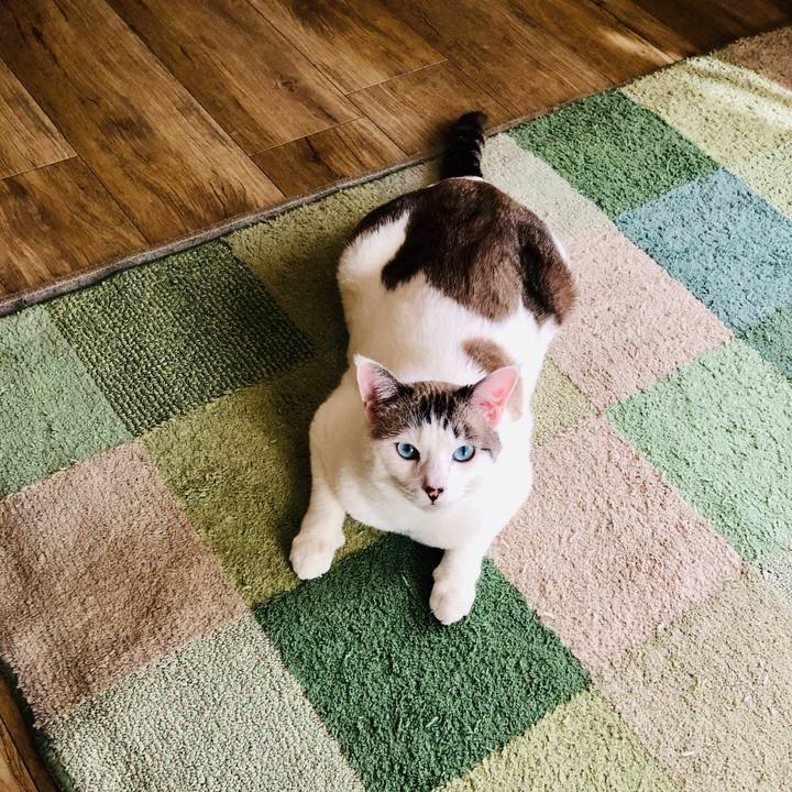 D0799cb6 2a1d 44c1 9611 a5da1904c59e 1576030383015