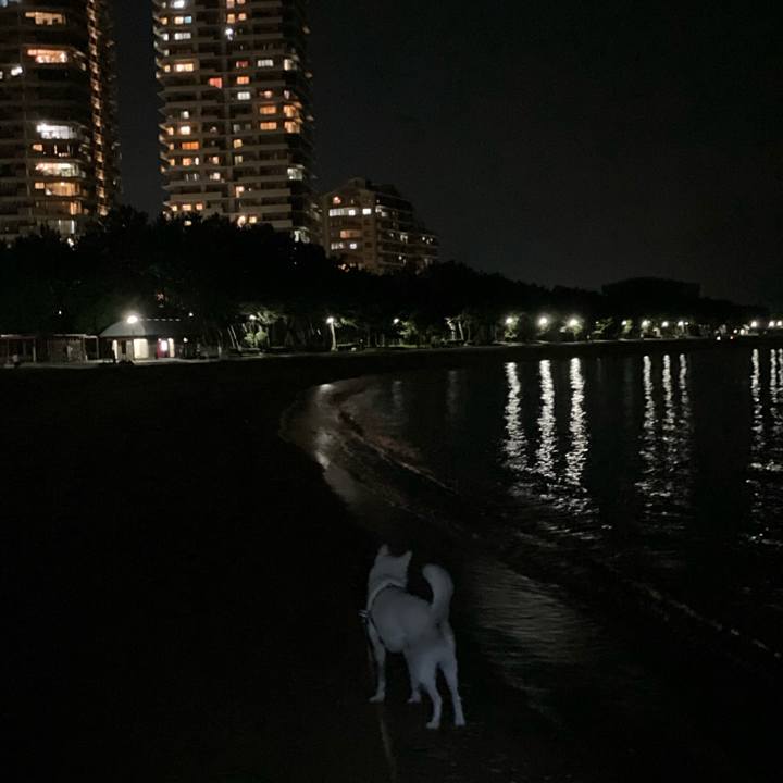 D079af3a b7d2 43f2 aa3f 21aa32438d6a 1631365631242