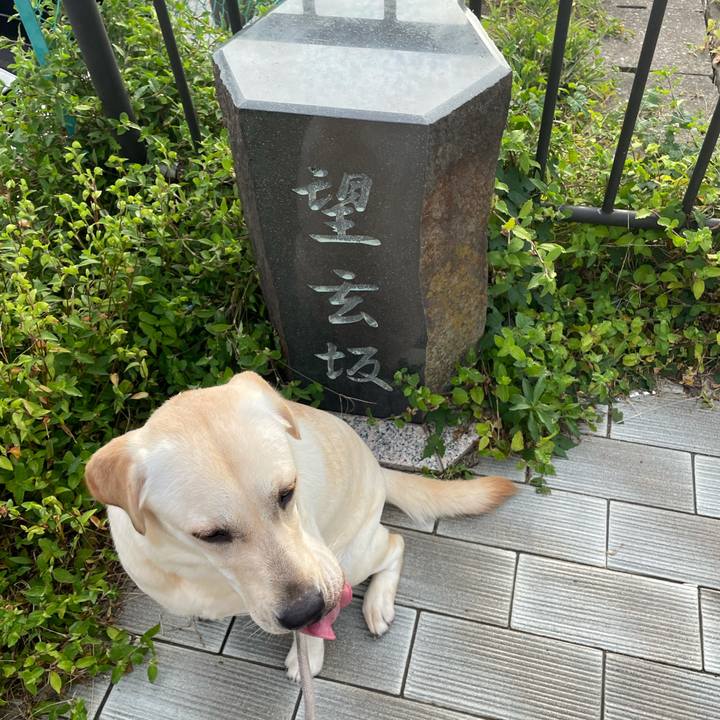 D079db1d eea4 4e67 9357 1831026dd327 1632780126461