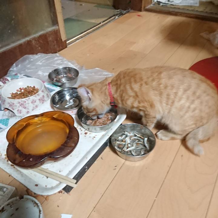 D079e9ed 4da3 4c1a af42 fe5a2d2aef11 1633512727816