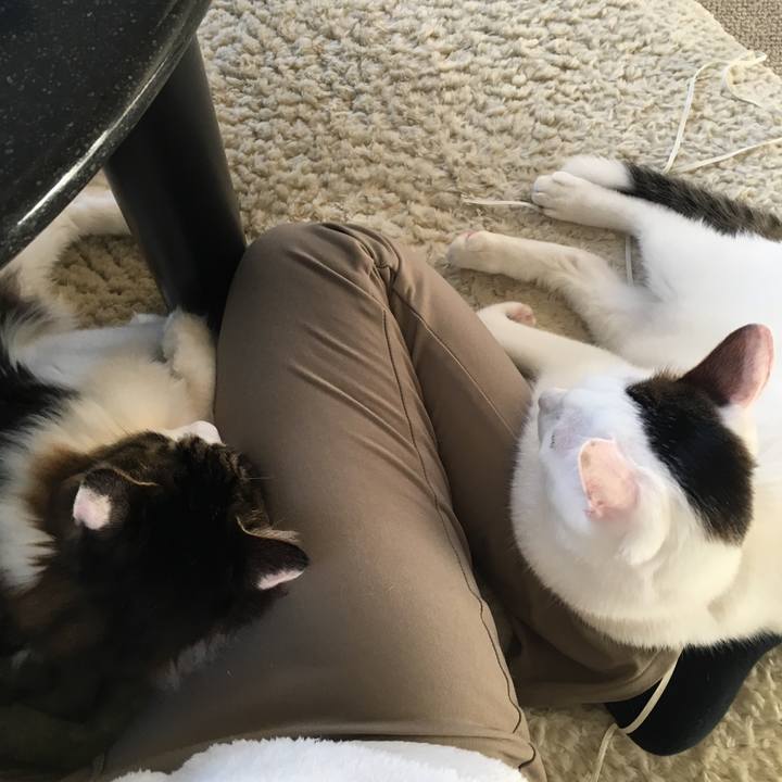 D079f83e c597 43da a412 a5f7deb479e7 1513990910978