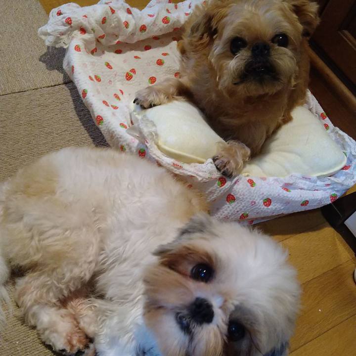 D079fead f0c2 4532 b128 6f4e8148055b 1600419916415