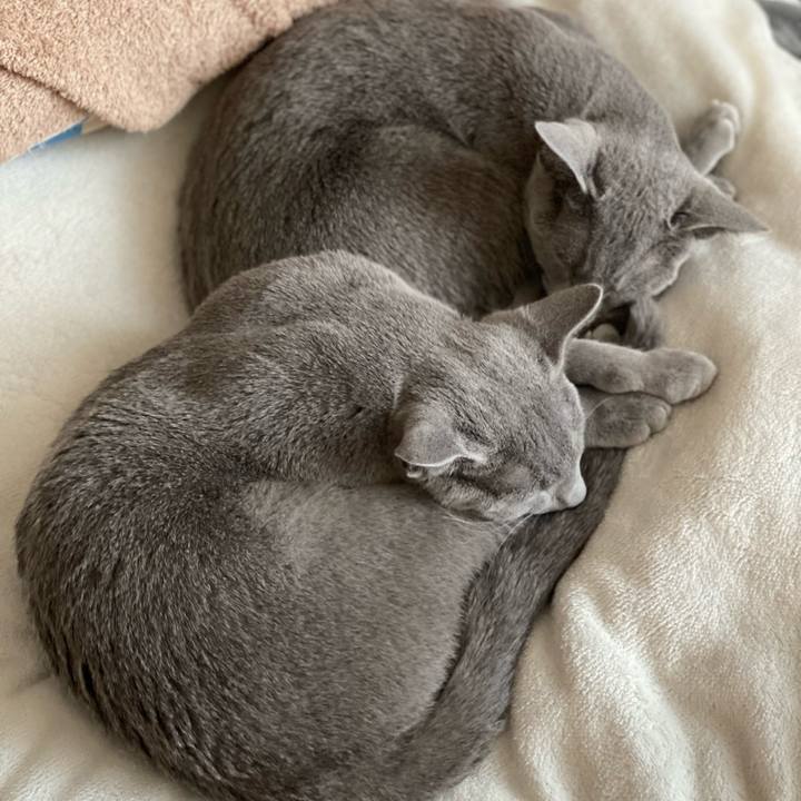 D07a05ad bec8 4287 9676 22dece1827bf 1612422903361