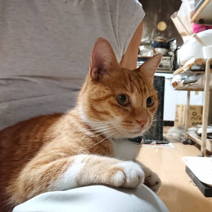 D07a08d4 a636 4468 b5d9 a0e00a614062 1600334598420