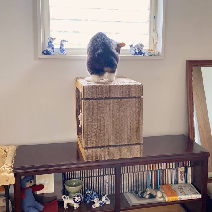 D07a0c77 2f56 4209 9ca9 900a9c7cd27a 1596864264671