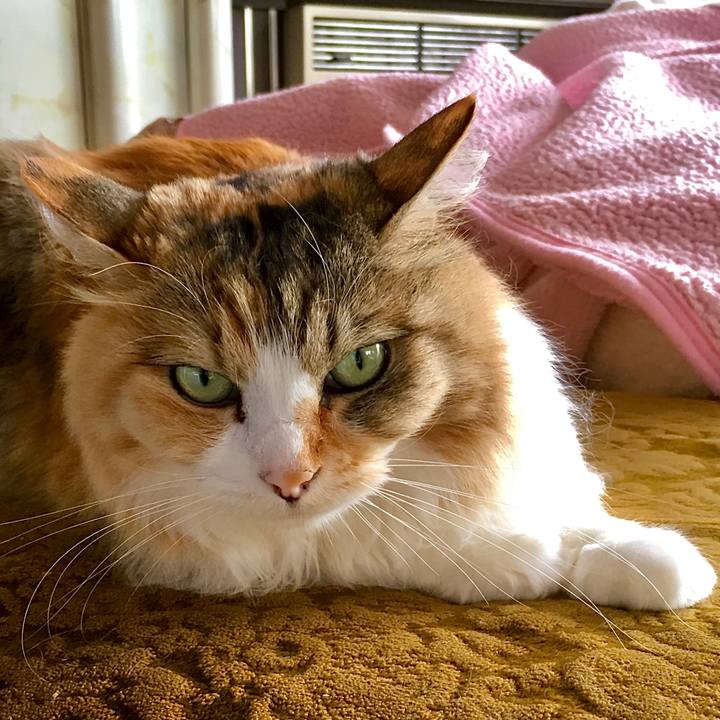 D07a162a ff90 405e 9bf5 37b43f9c5de9 1592465429686