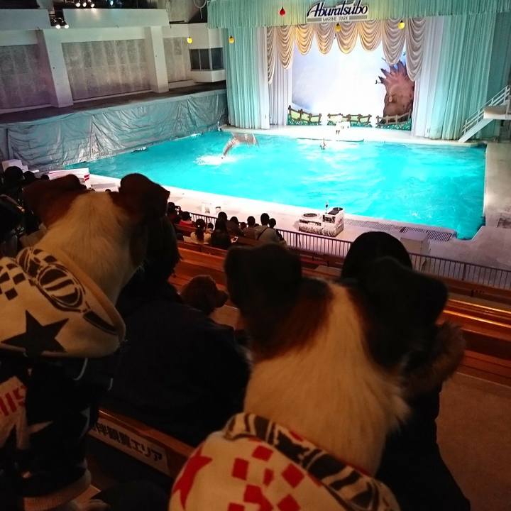 D07a1aae 3a98 4ad6 ab8a 6469d3b04a1b 1550994671603