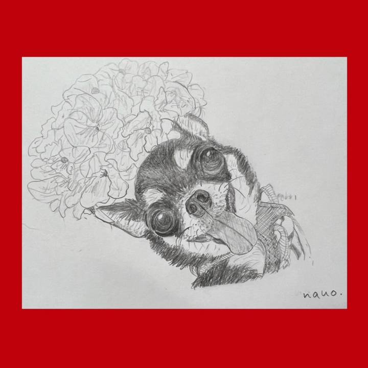 D07a739e 691c 49b5 88f2 66bdc76e7183 1669190061366