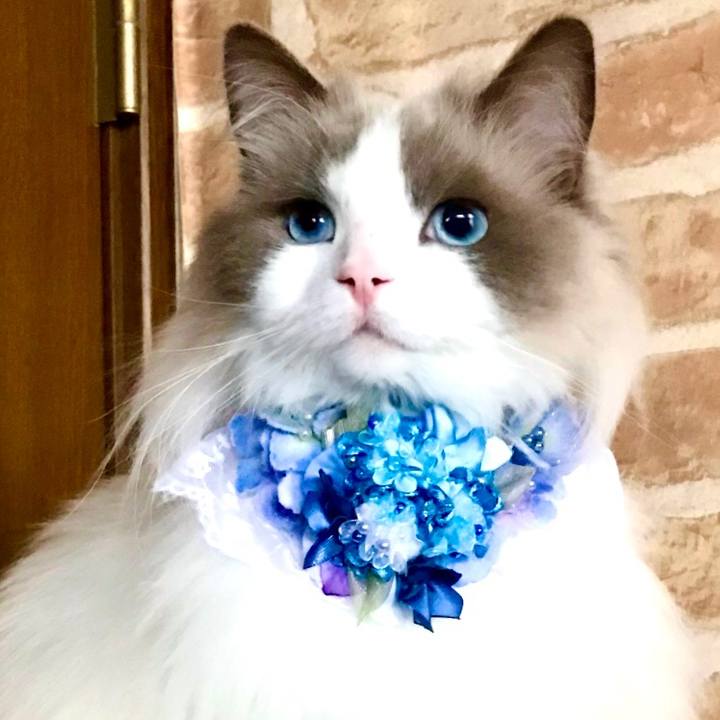 D07a9e8b a110 4f76 9150 546ae88c5a8b 1623874614455