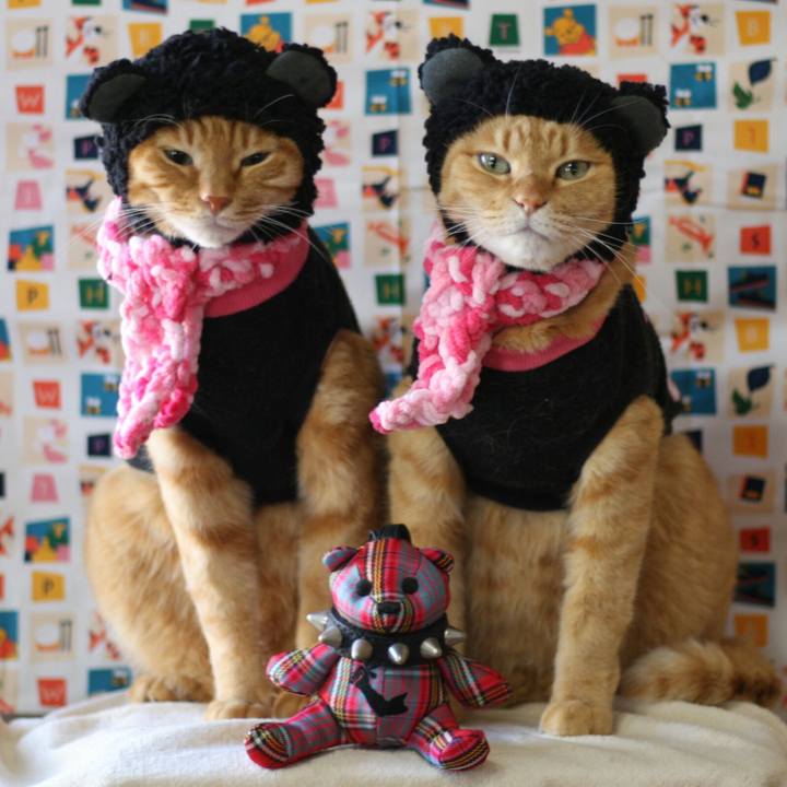 D07af06b 3614 4dc7 b4cb 5fc0e0f1e5f4 1515217890454