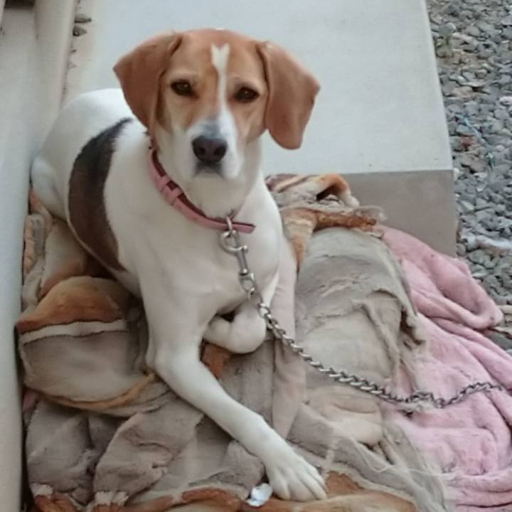 D07b0324 f3e7 4a12 8137 8df37076cfa5 1584963515668