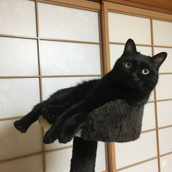 D07b2338 7488 482e 9c83 bb57377dae81 1514897258438