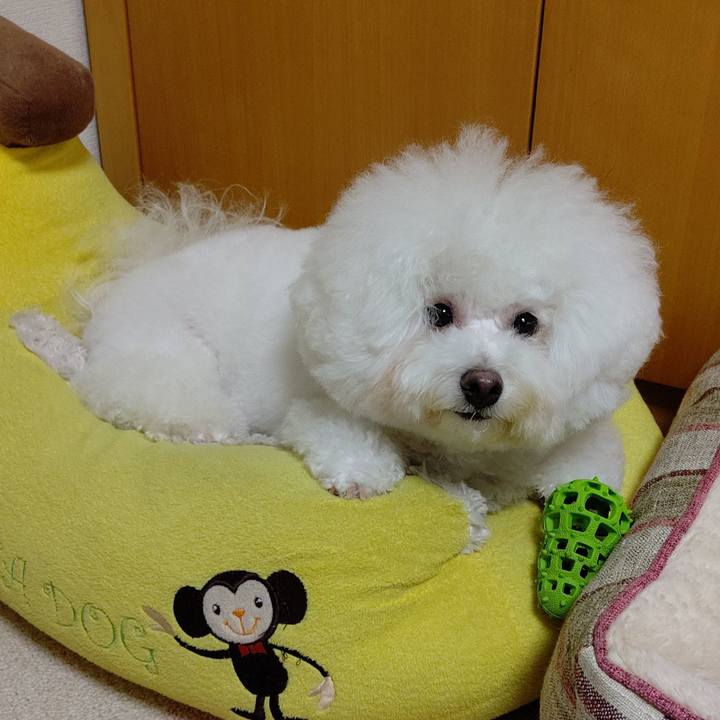 D07b2f70 e757 4007 944a 8ef0ec7285b8 1572666675363