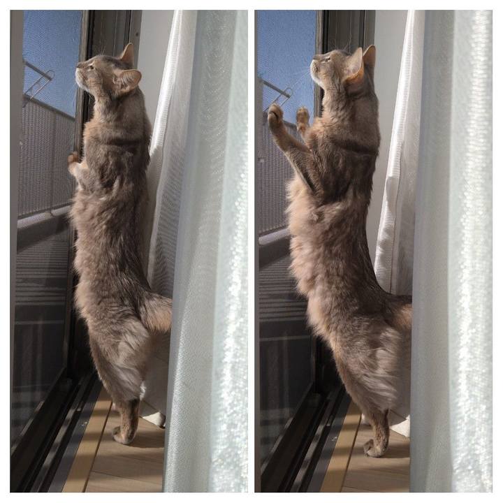 D07b3c7e 301f 4111 9305 a9b99db04c16 1610764961081