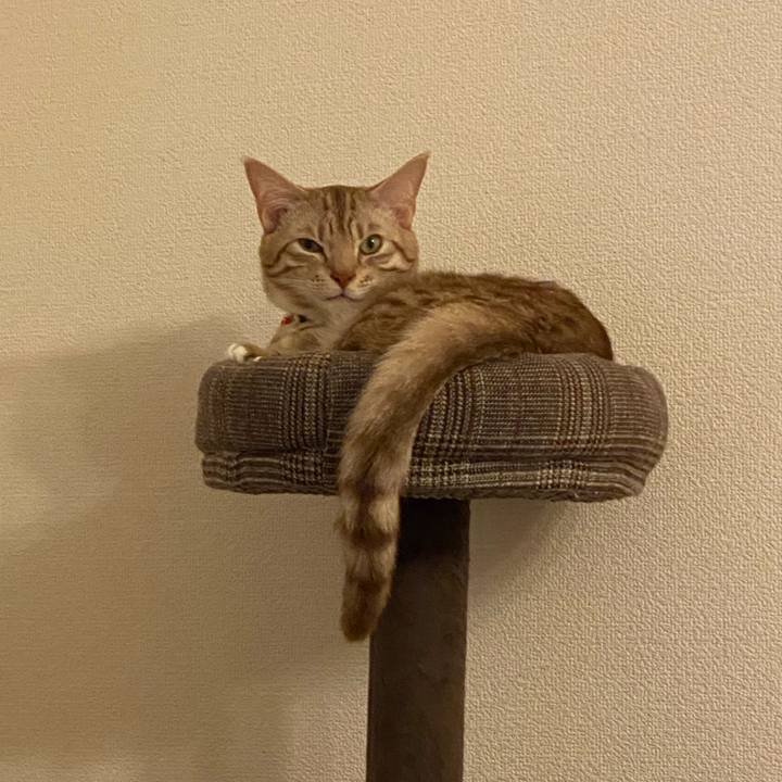 D07b5478 cbca 4aa3 9d0c 83022d3b3041 1640850052236