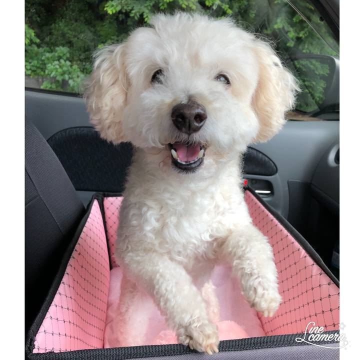 D07b7820 41ad 4639 9aaf 62419934109a 1529122326424