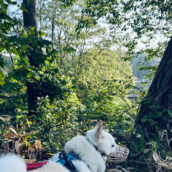 D07bc18d e344 46fa a8ea 334b49858313 1749934040881