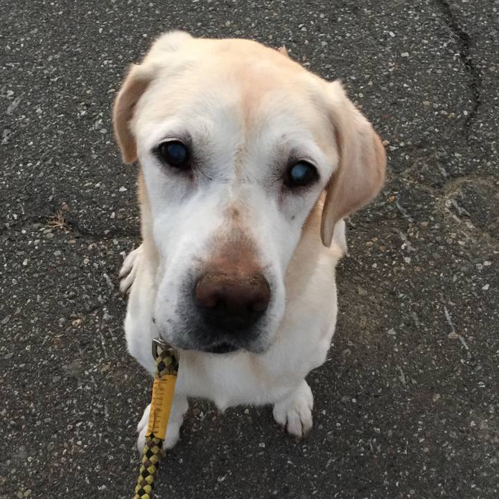 D07bccc8 61e6 40c8 ac2a b07f4c5ad766 1532951080759