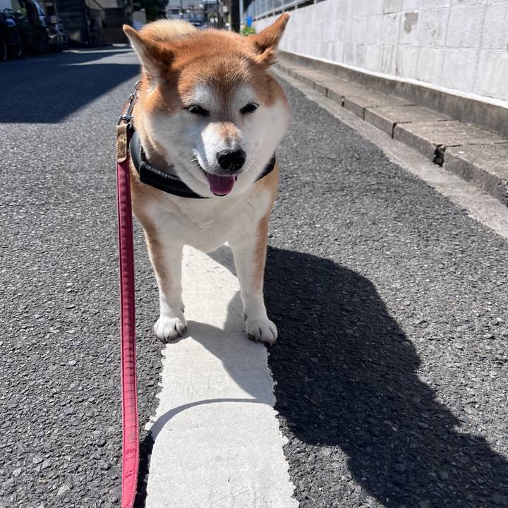 D07bdf3d af59 4dbe 8384 730fe0a8a2c9 1710475275988